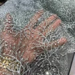 پارچه دانتل مجلسی کله مورچه ای